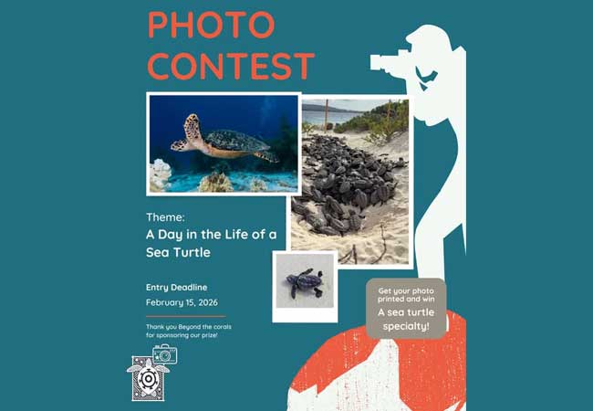 STCB Photo Contest