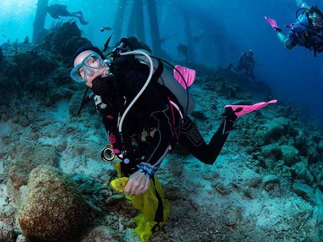 Quarterly Clean up Dive