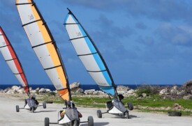 Landsailing Harness the wind, and get your (Blokart) grin on!