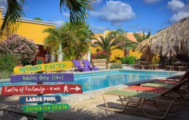 Djambo Quick Facts about Djambo Bonaire.