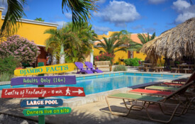 Djambo Quick Facts about Djambo Bonaire.