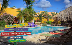 Djambo Quick Facts about Djambo Bonaire.