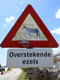 A donkey-crossing sign on Bonaire.