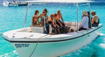 Boat Diving and Snorkeling with Carib Inn