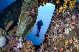 Boat Diving with Carib Inn Boat Diving with Carib Inn