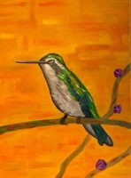 Blue-tailed Emerald hummingbird by Meredith Schnoll