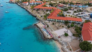 Sand Dollar Bonaire Sand Dollar Bonaire