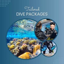 Tailored Dive Packages