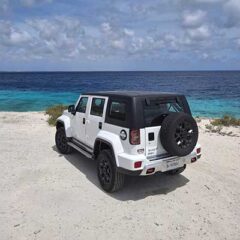 Hertz Rentals